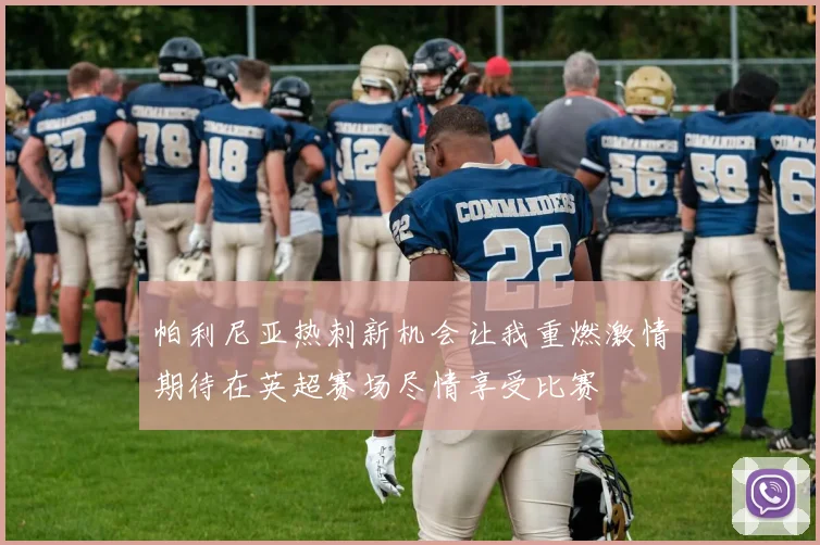 帕利尼亚热刺新机会让我重燃激情期待在英超赛场尽情享受比赛